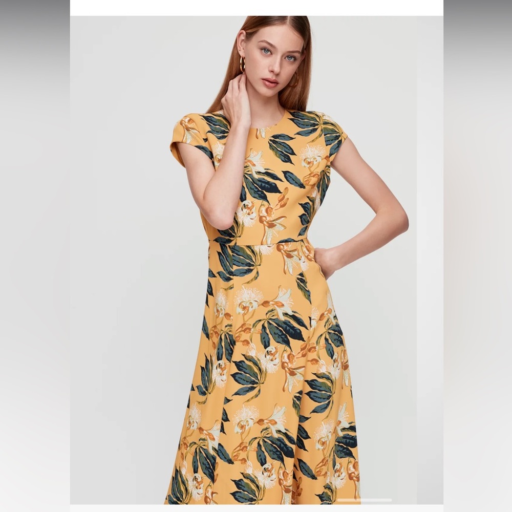 Aritzia Babaton Lorence midi dress
